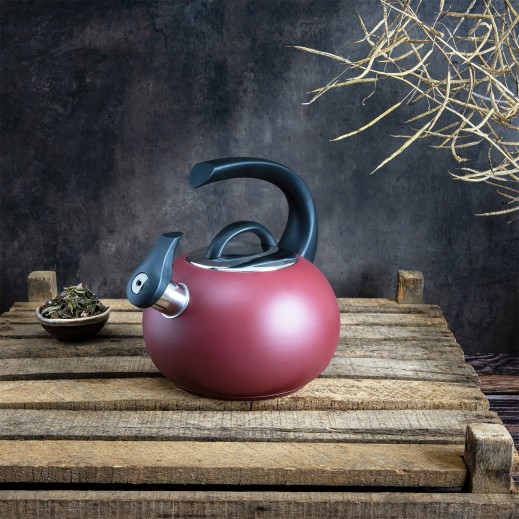 Wasserkessel Neptune Schwarz 4